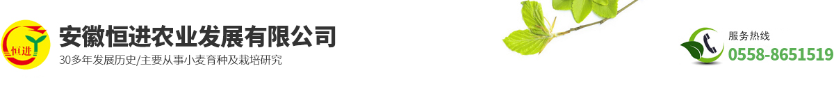 安徽恒進農(nóng)業(yè)發(fā)展有限公司
